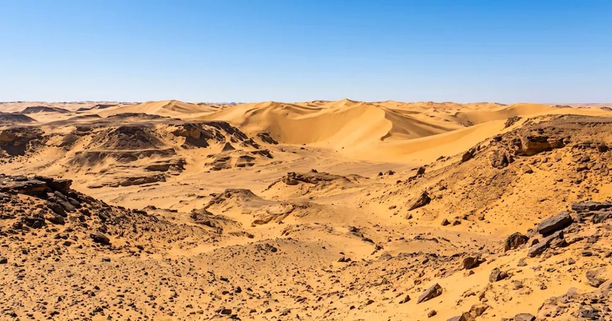 Descubren un antiguo 'cementerio' de tiburones en pleno desierto de Egipto